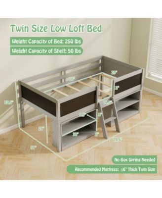 Loft Bed with Storage Shelves and Ladder