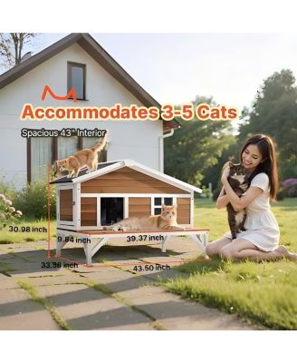 Zeus and Ruta Wooden Insulated Cat House Elevated Winter Shelter With Large Platform Waterproof Outdoor Condo