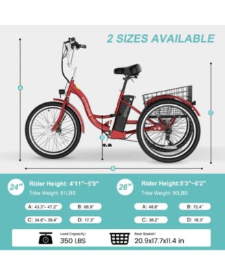 350W Electric Tricycle for Adults with 24" x 2.1" Wheels