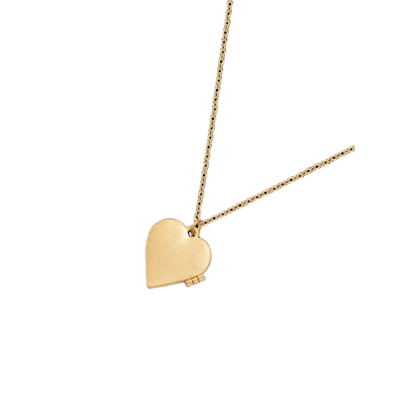 Swallow Locket
