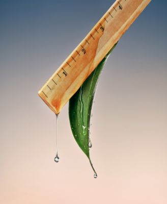 Saisei Biomimetic Peptide Treatment Essence, 1.7 oz.