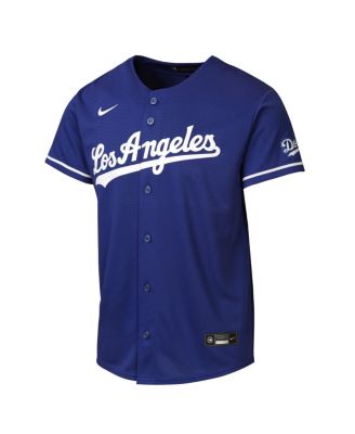 Big Boys and Girls Royal Los Angeles Dodgers Alternate 2 Stadium Jersey