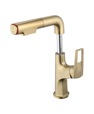 Single Hole Brushed Gold Vessel Bathroom Faucet Pull Down with Lift Spout Dual Spray Modes for Sink