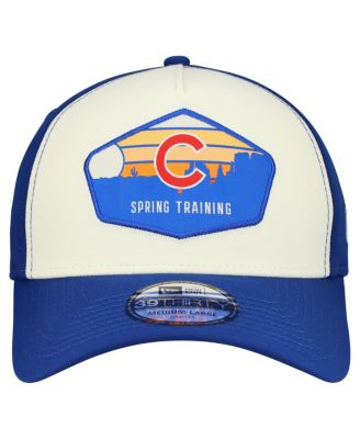 Men's Stone/Royal Chicago Cubs 2026 Spring Training Fan Pack Gradient 39THIRTY Flex Hat