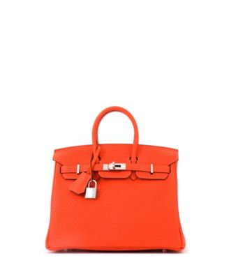 Birkin 25 Handbag Orange Togo with Palladium Hardware