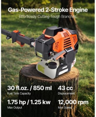 Gas Pole Saw, 43CC, 10" Cutting Bar, Extendable for Tree Trimming, Pruning