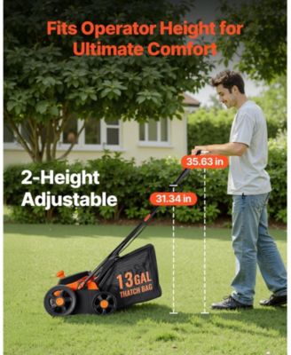 2-in-1 Electric Dethatcher and Scarifier, 13-Inch, 13 Amp Corded Lawn Tool
