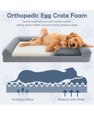 Orthopedic Dog Bed L 44.5x35 in Foam Sofa Removable Cover