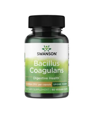 Bacillus Coagulans, Natural Probiotic Supplement, Digestive Health w/ 6 Billion CFU, GI and Overall Gut Health Support, 60 Veggie Capsules