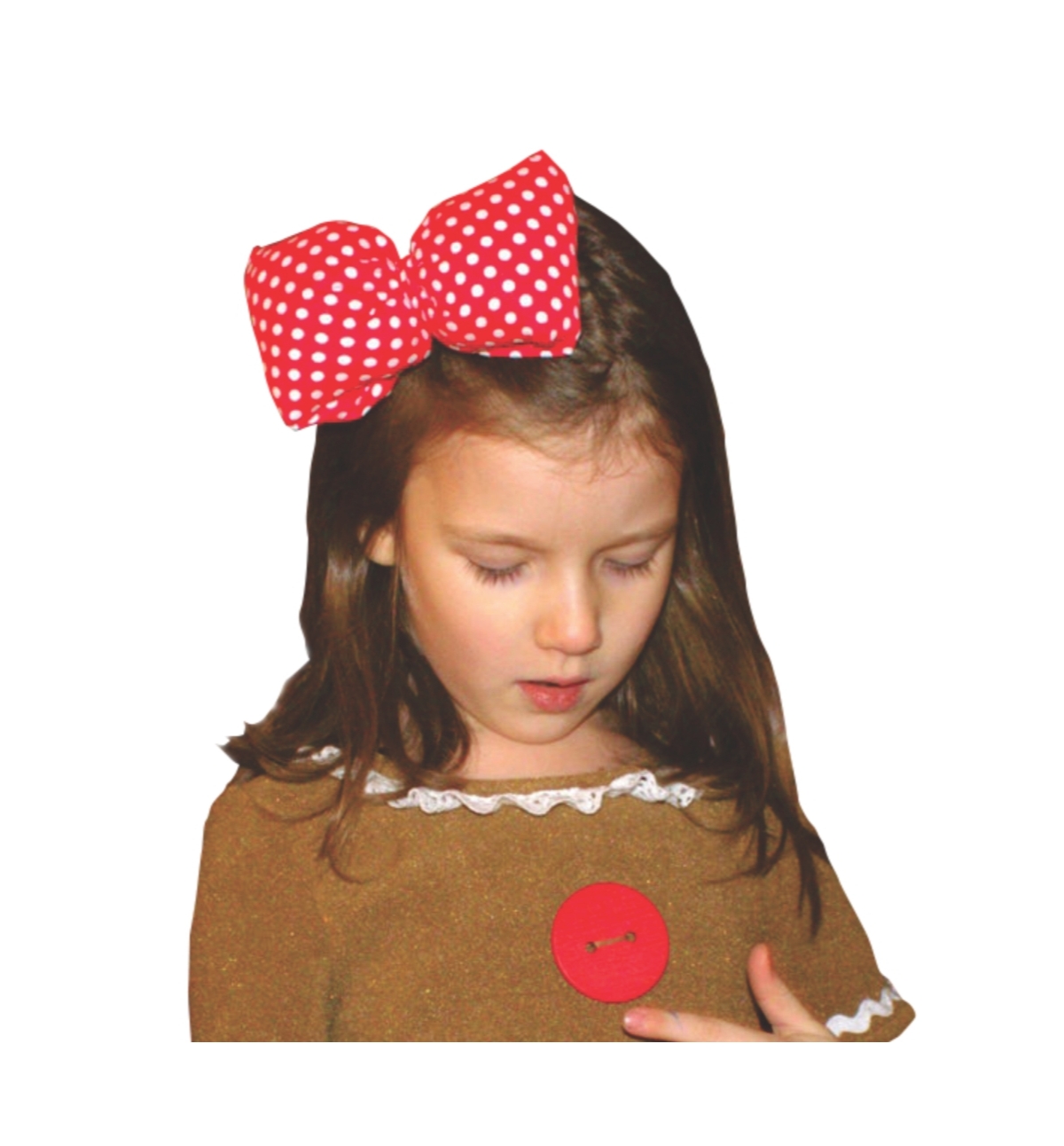 Dress Up America Gingerbread Costume