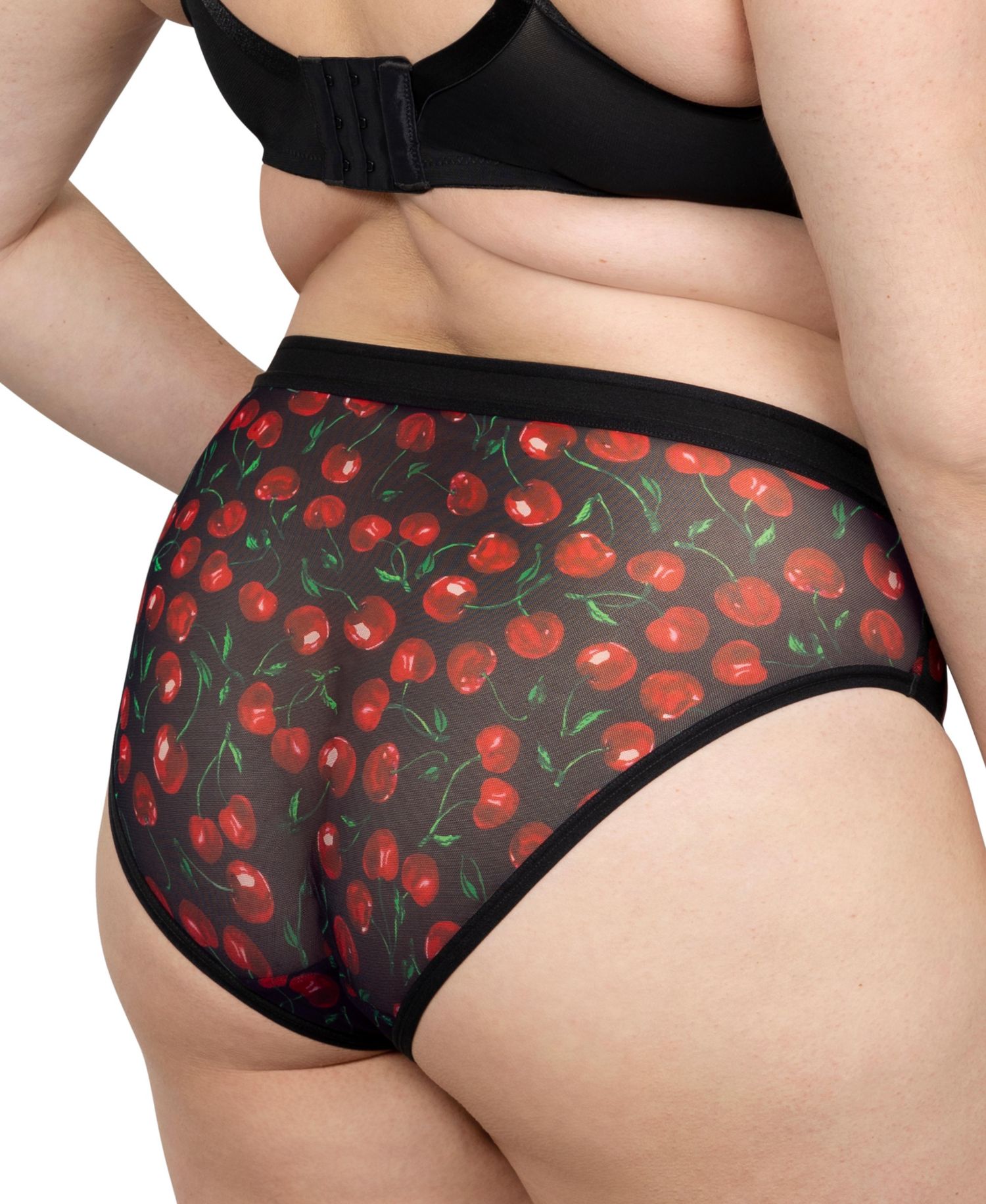 Women's Sheer Mesh High Cut Brief Panty
