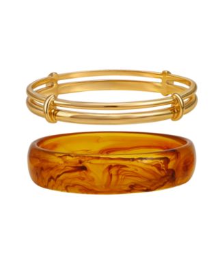 Tortoise 2-Pc. Resin and Gold-Tone Bangle Bracelet Set