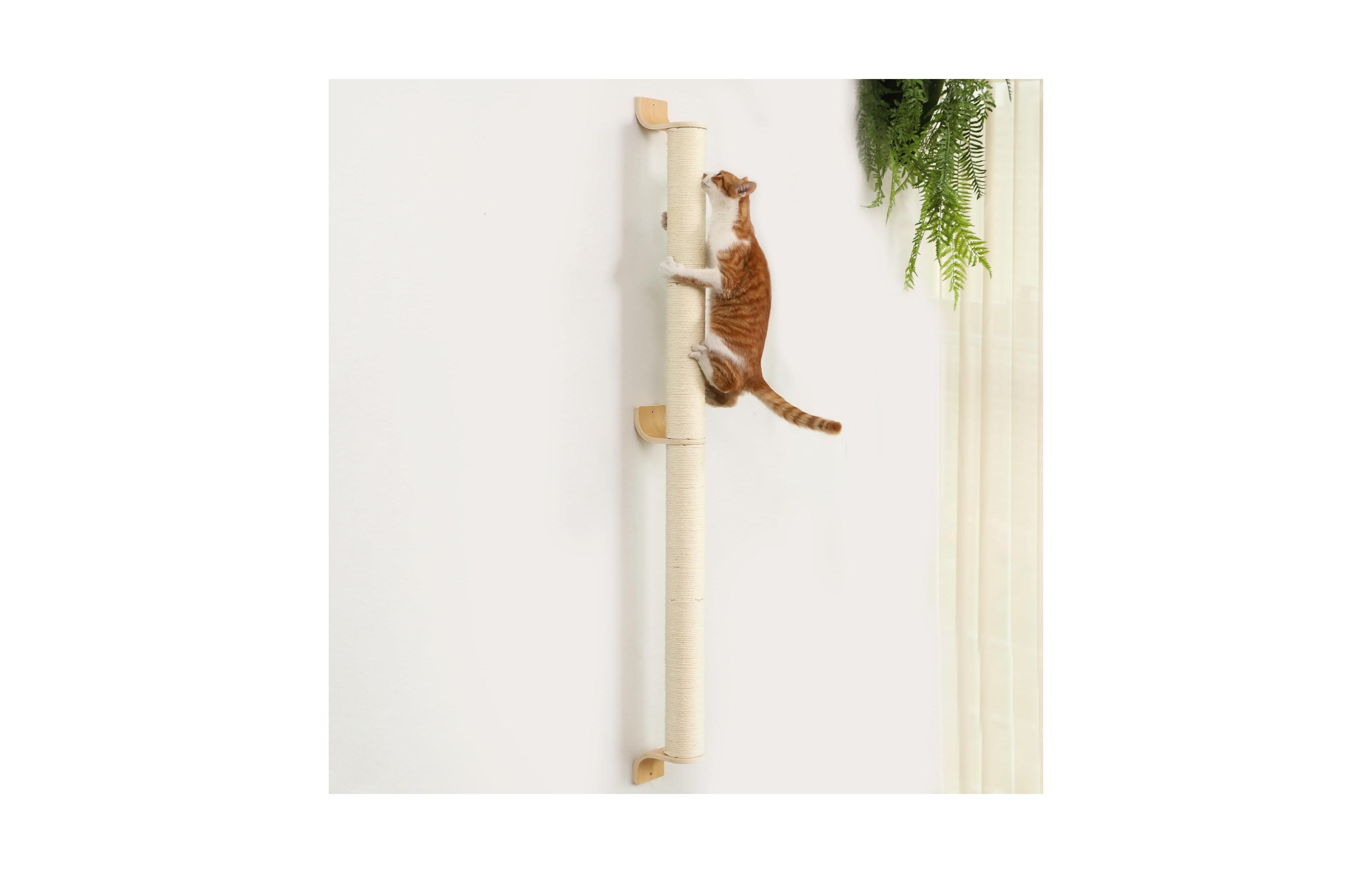 Aronkl Cat Wall Scratcher 60" Tall Mounted Kitten Sturdy Sisal Climbing Tree For Indoor Large Cats
