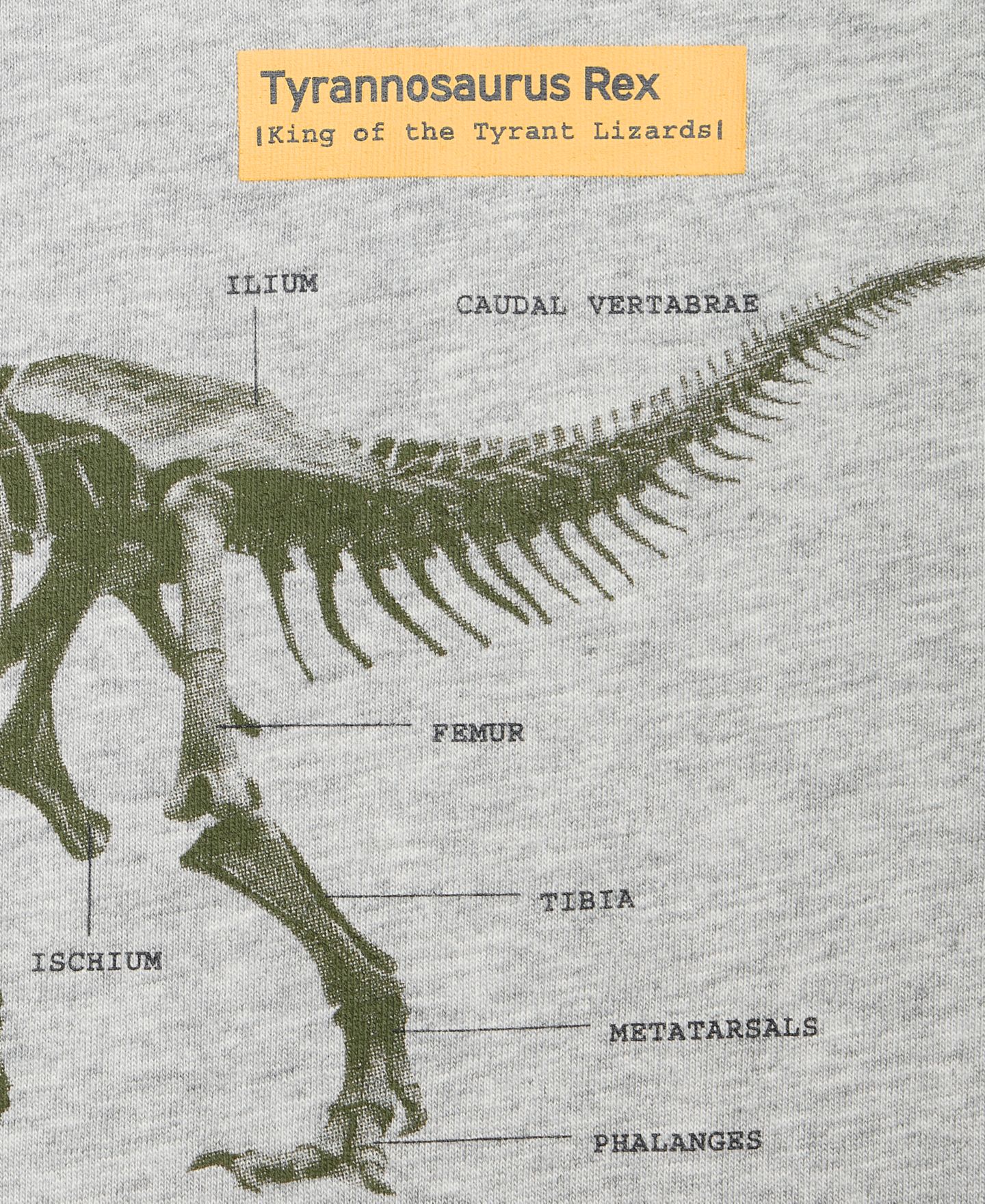 Футболка Epic Threads Dinosaur Graphic для мальчиков, цвет: Меланжевый — фото 2