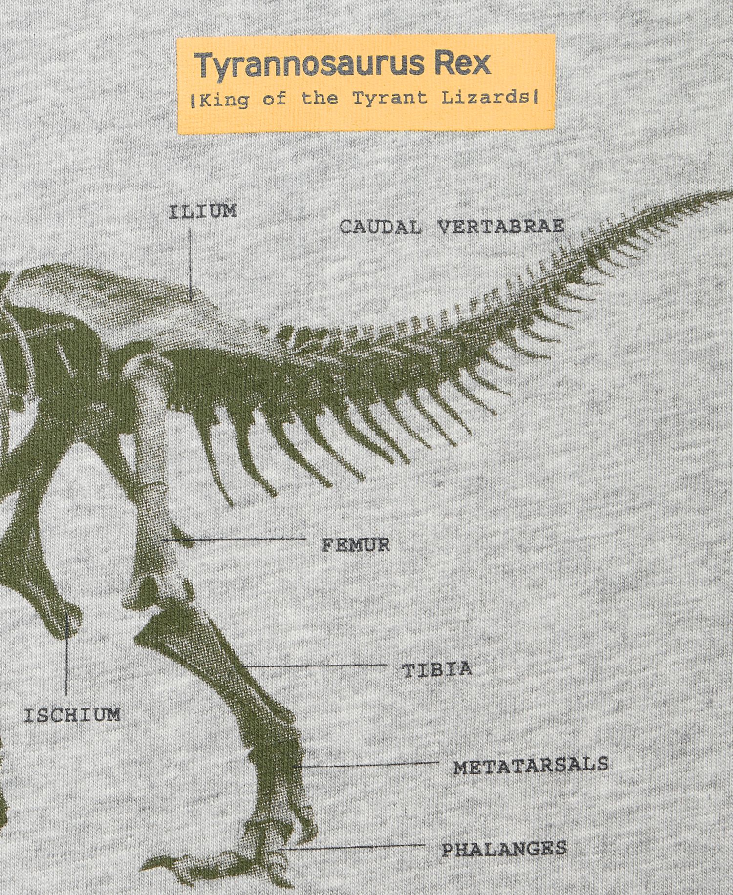 Boys' XS-XL Dinosaur Graphic T-Shirt
