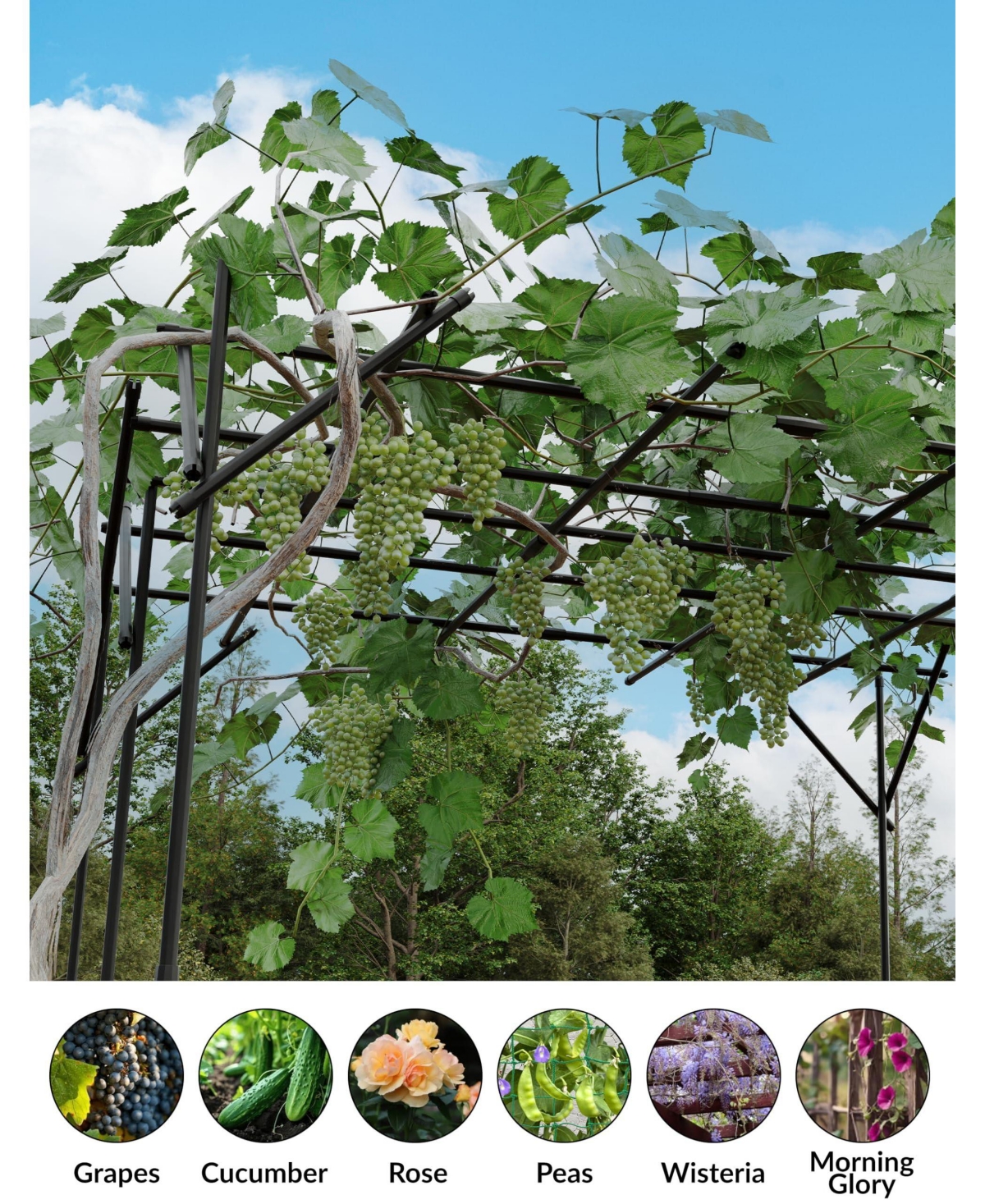 homfan Elegant Metal Garden Arch Trellis for Climbing Plants