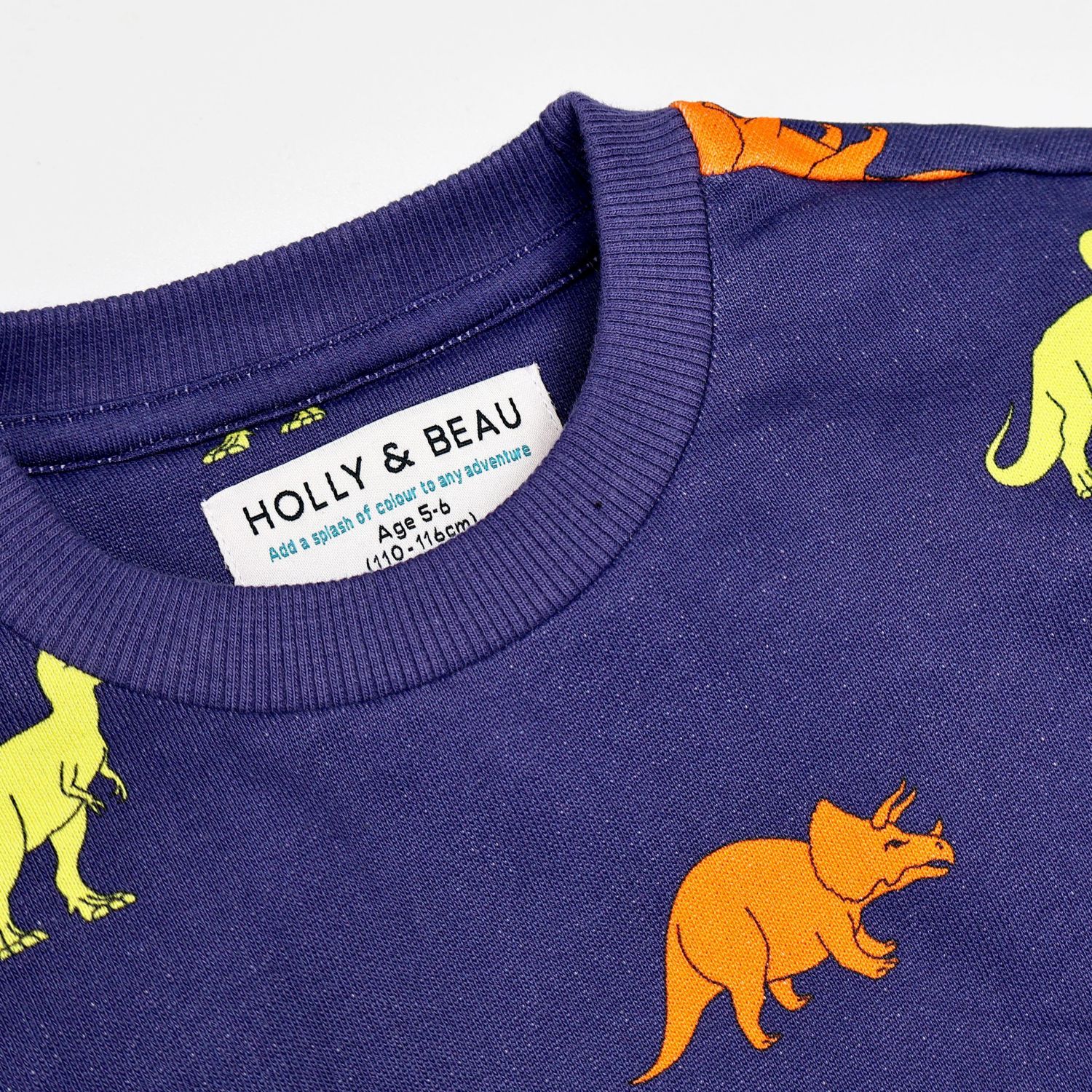 Little Boys Dinosaur Cotton Crew Neck Sweatshirt