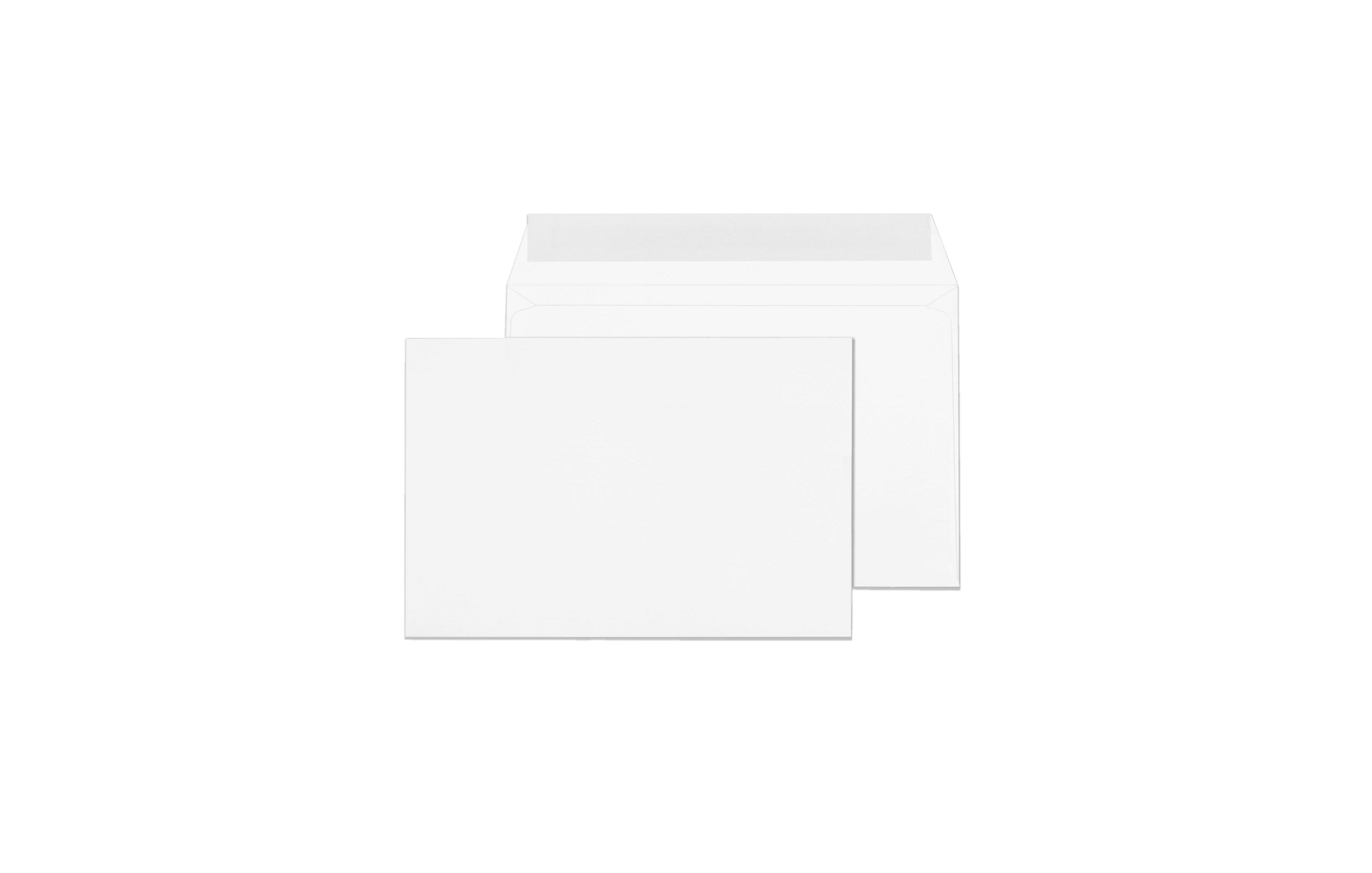 Gnuadz Booklet Envelopes Gummed Seal Open-side Catalogs Business