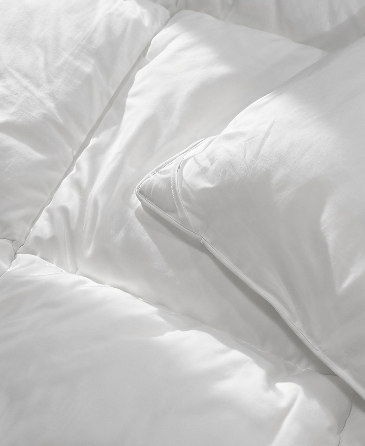 Levtex Home All-Season Down-Alternative Duvet Insert and Comforter