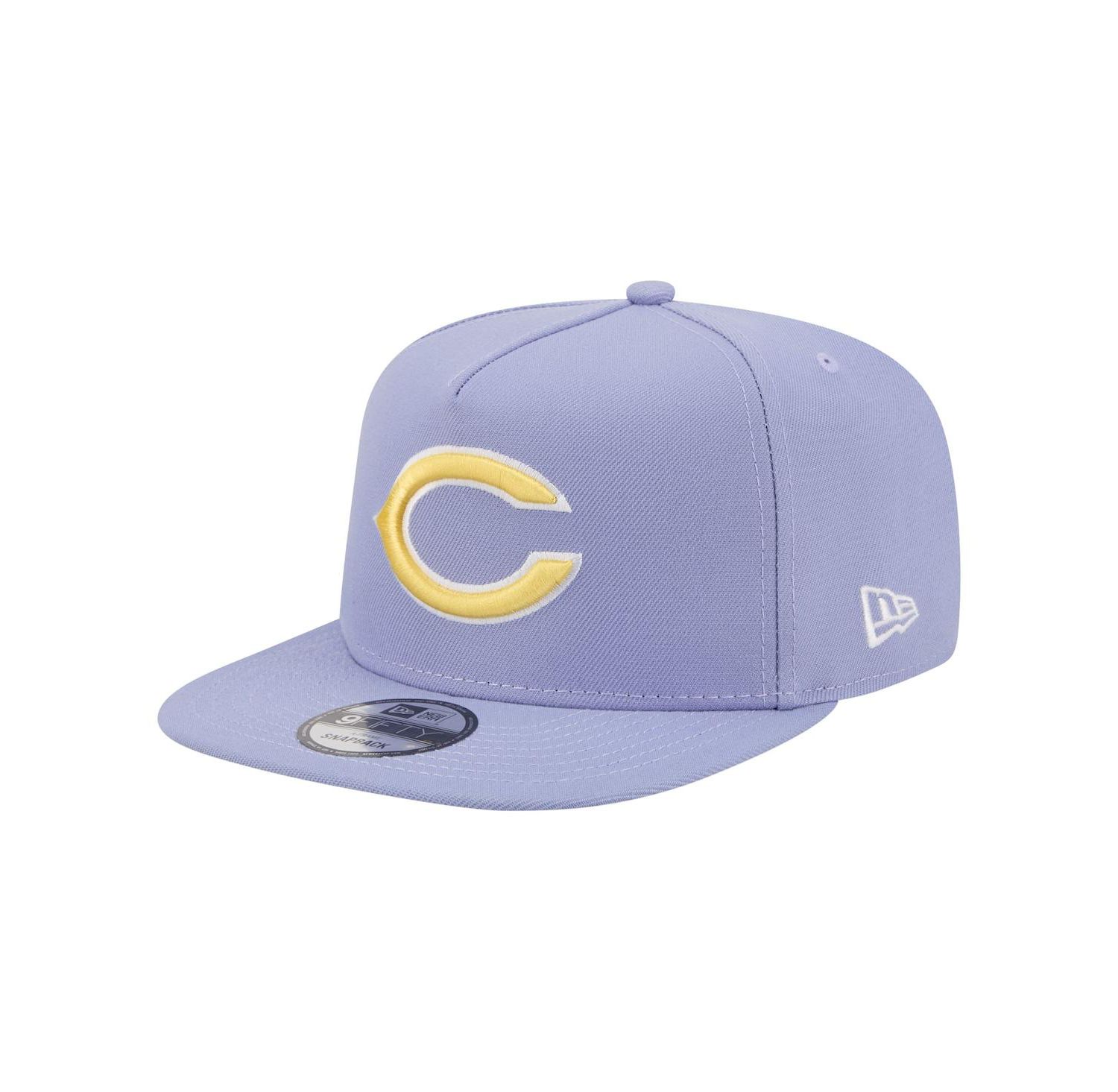 Men's Lavender Chicago Bears Bloom A-Frame 9FIFTY Snapback Hat