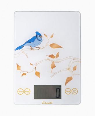 Arti Blue Jay Glass 9" Digital Food Scale