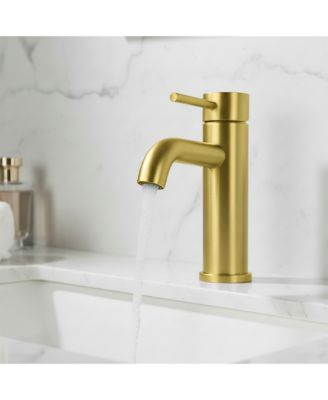 Single Handle Bathroom Faucet Lavatory Faucet Stainless Steel Single Hole-T10, Brushed Gold