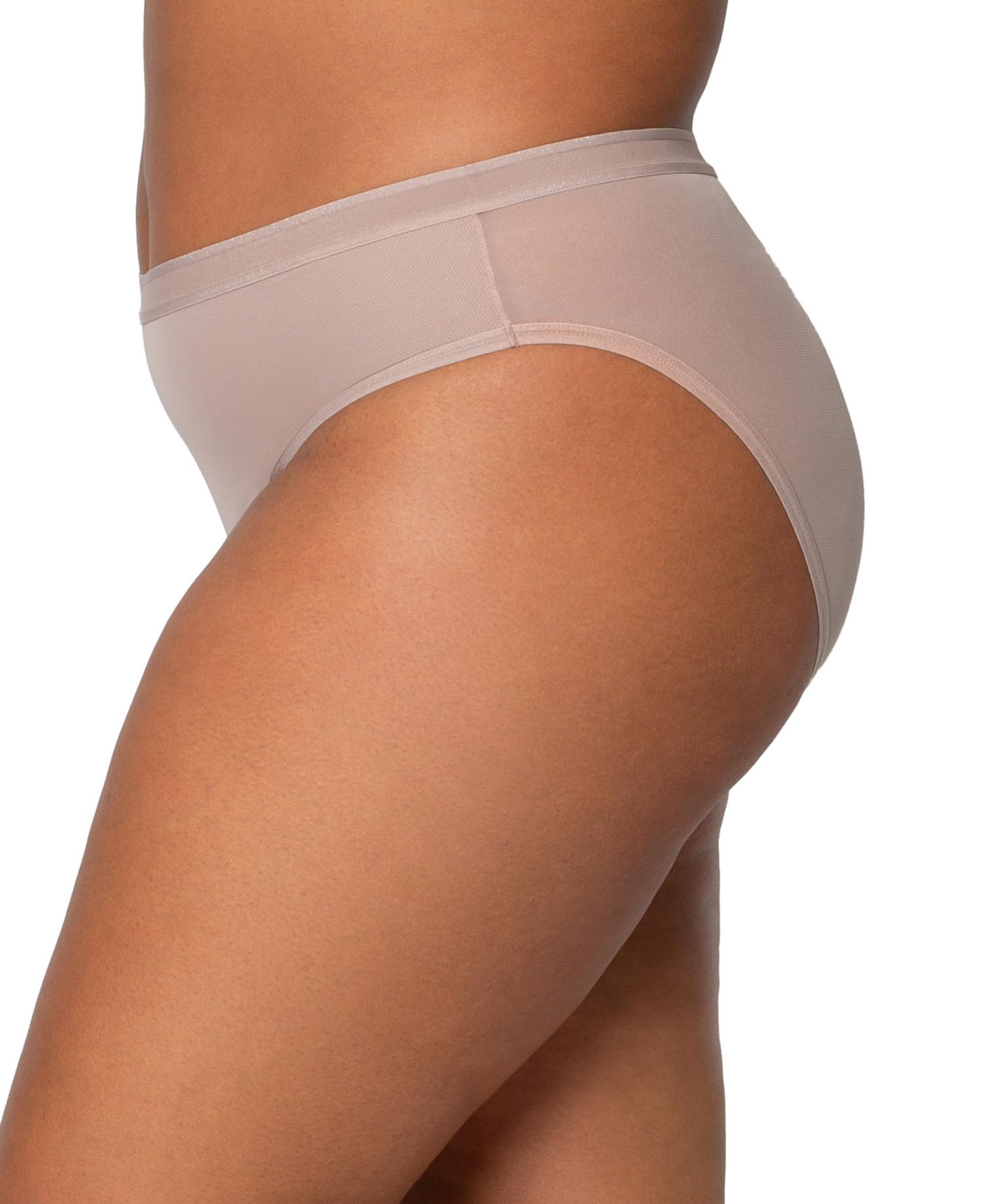 Women's Sheer Mesh High Cut Brief Panty