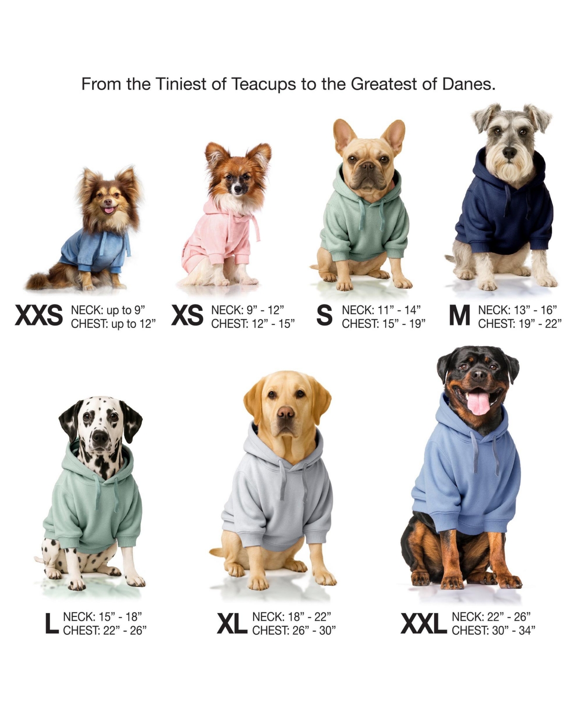 Pet Passion Cooper Ii The Velour Hoodie