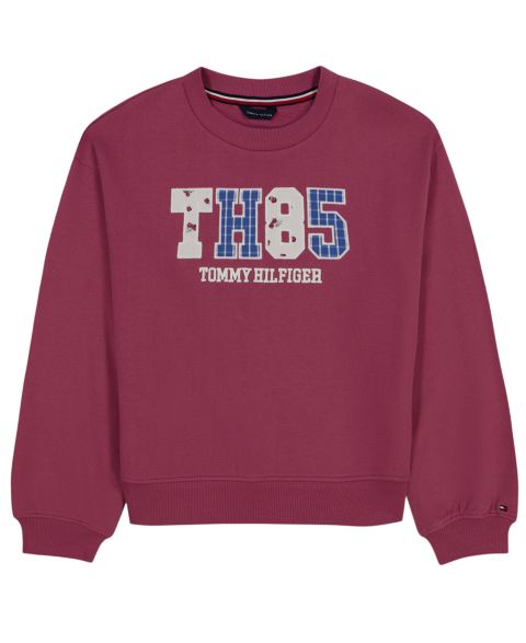 Толстовка Tommy Hilfiger Th85 Print для девочек, цвет: Ягодный