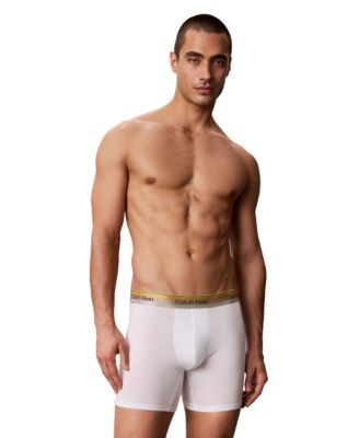 Men's Pride Cotton Classics Boxer Brief, 1-Pack 