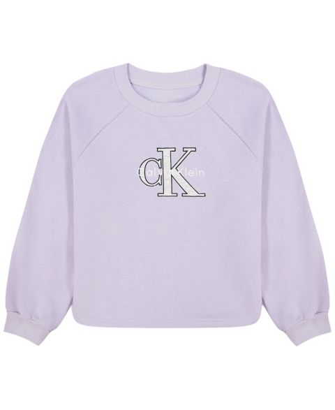 Толстовка Calvin Klein Logo Long-Sleeve для девочек, цвет: Орхидея