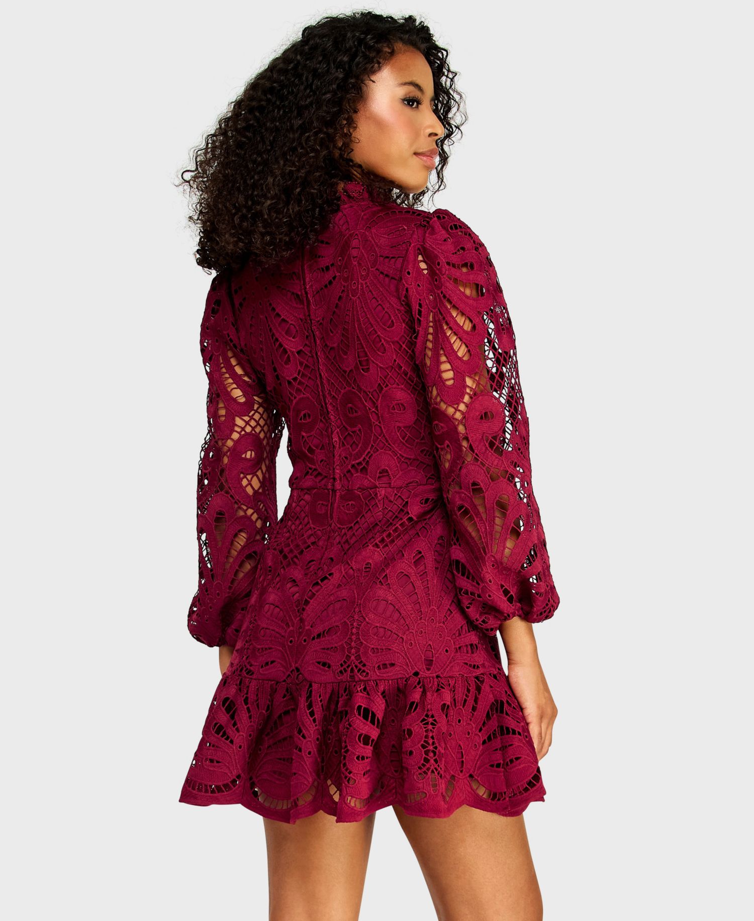 Juniors' Embroidered Lace Dress with Long-Sleeve and Scallop-Hem