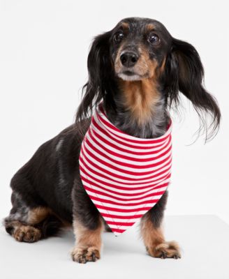 Pet Candy Stripe Bandana
