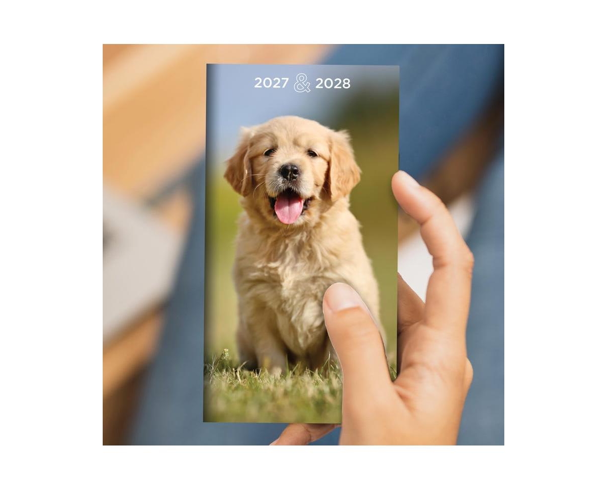 Tf Publishing Paper Goods 2027-2028 Dog Small Monthly Pocket Planner