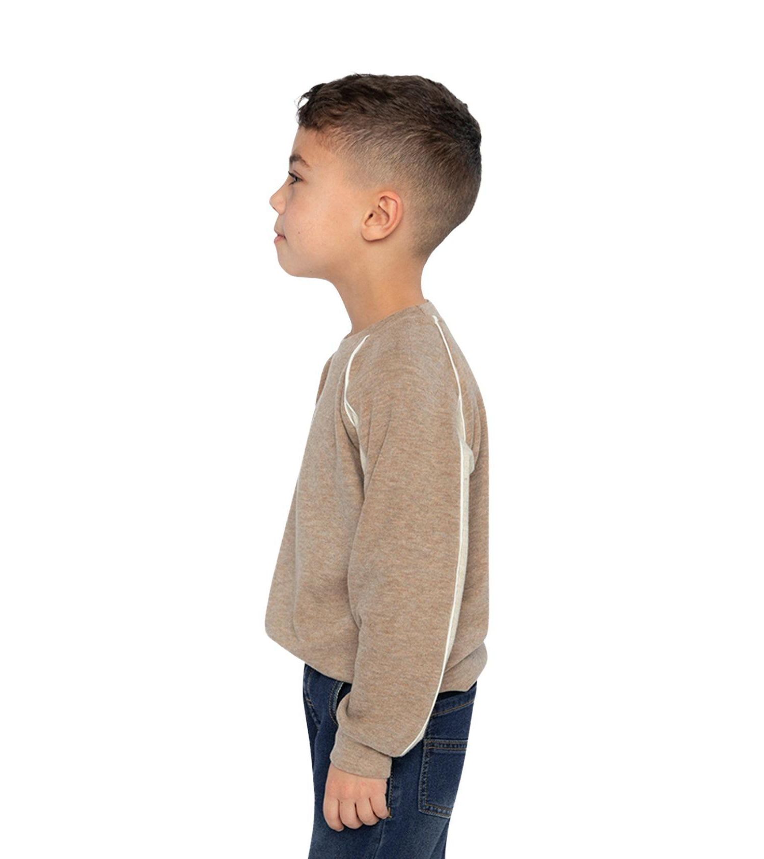Little Boys 6-12 Brushed Jersey Top with Raglan Sleeves Taupe
