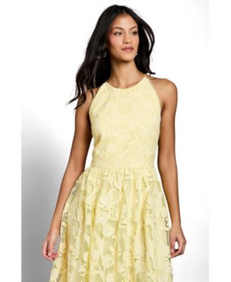 macy's lace cocktail dresses Kiyonna Women's Camille Lace Cocktail Dress