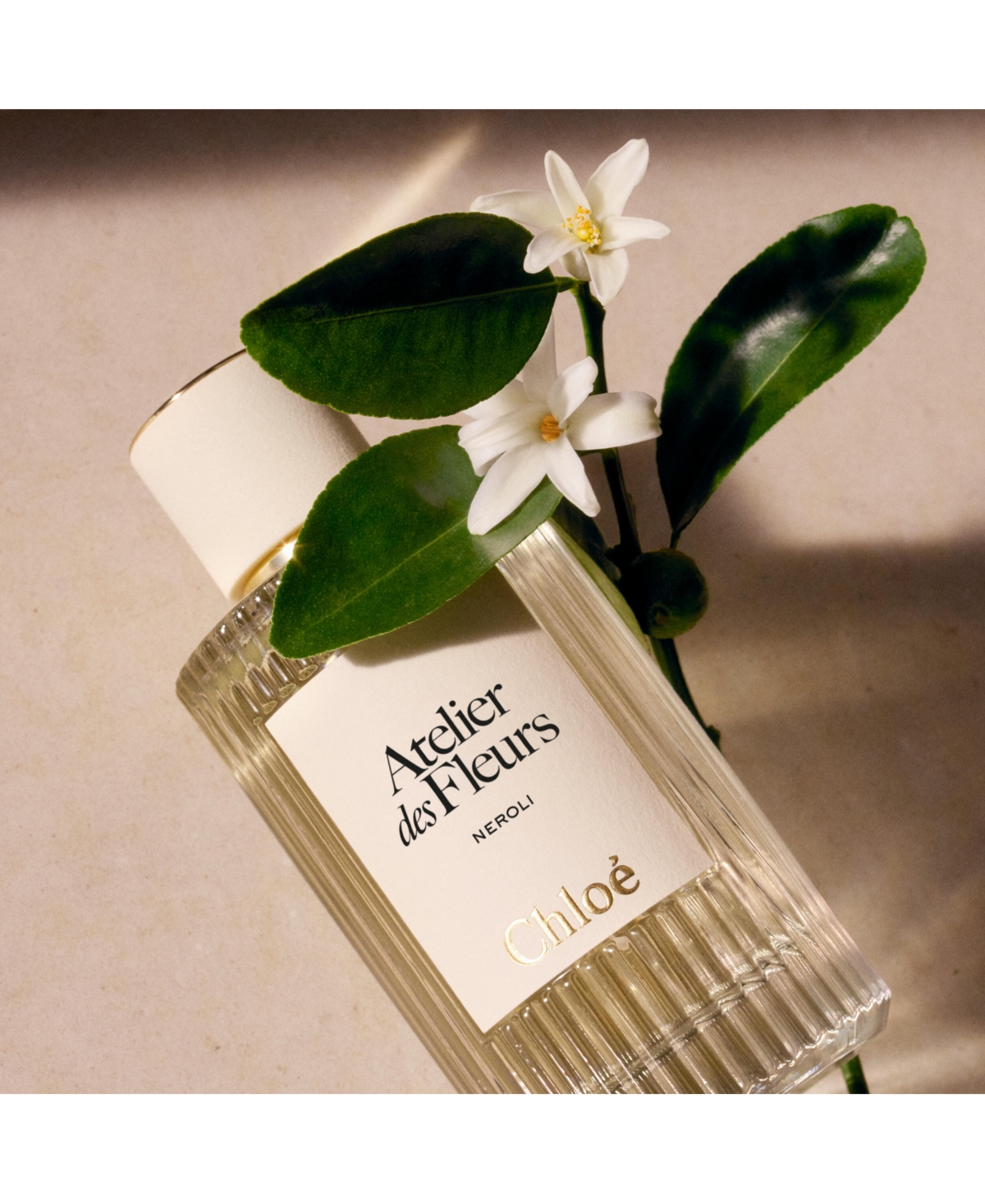 Chloe Atelier des Fleurs Neroli Eau de Parfum Spray, 1.6 oz.