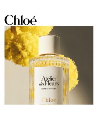 豊さん(^-^)クロエ　Chloe フラワーモチーフ ミュール 35 1/2 Chloe Atelier des Fleurs Herba Mimosa Eau de Parfum Spray, 5 oz