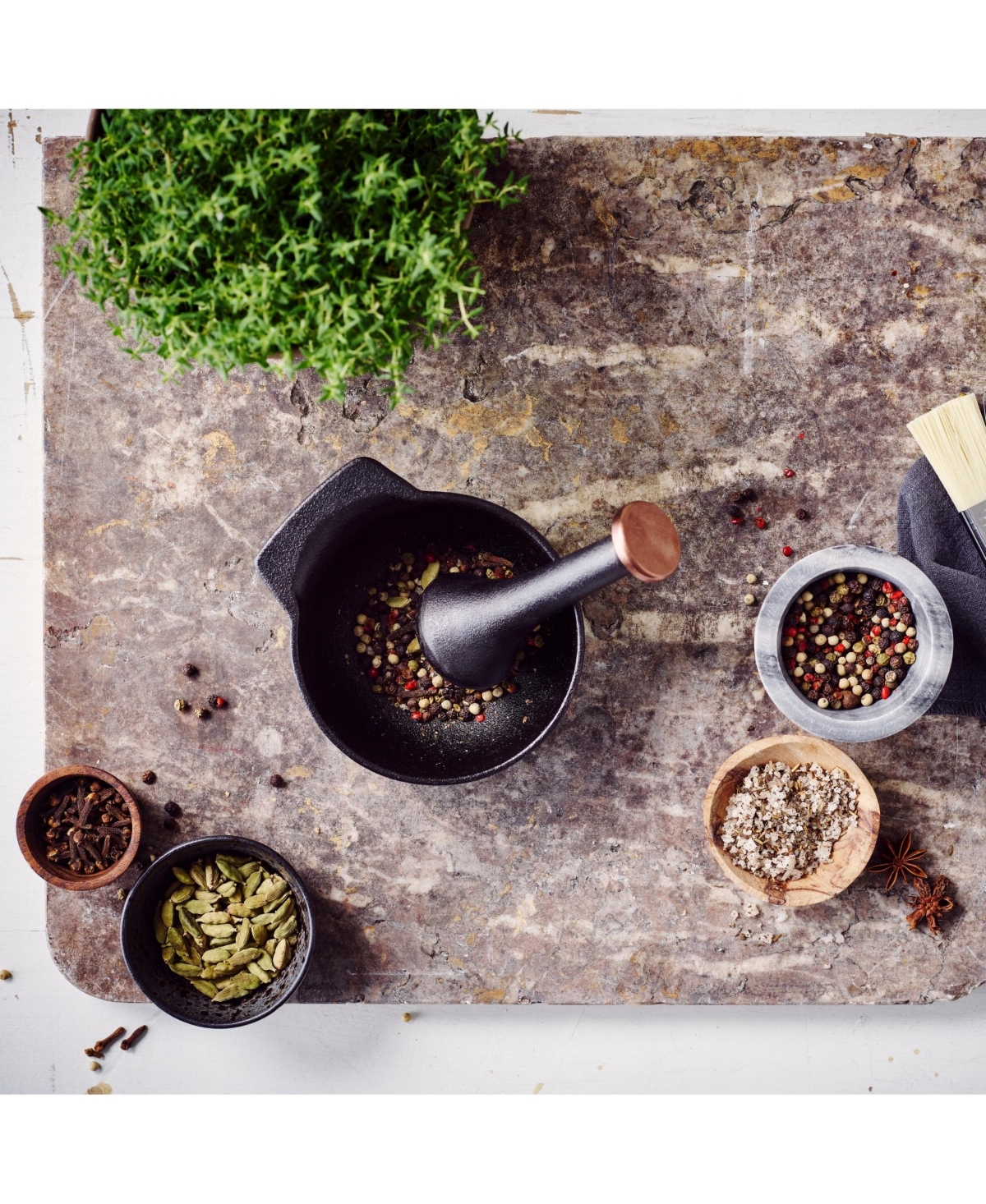 Alva Nori Enameled Cast Iron Mortar & Pestle Set - 2C Capacity