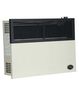 17,000 BTU Direct Vent Liquid Buddy Propane Wall Mount Heater
