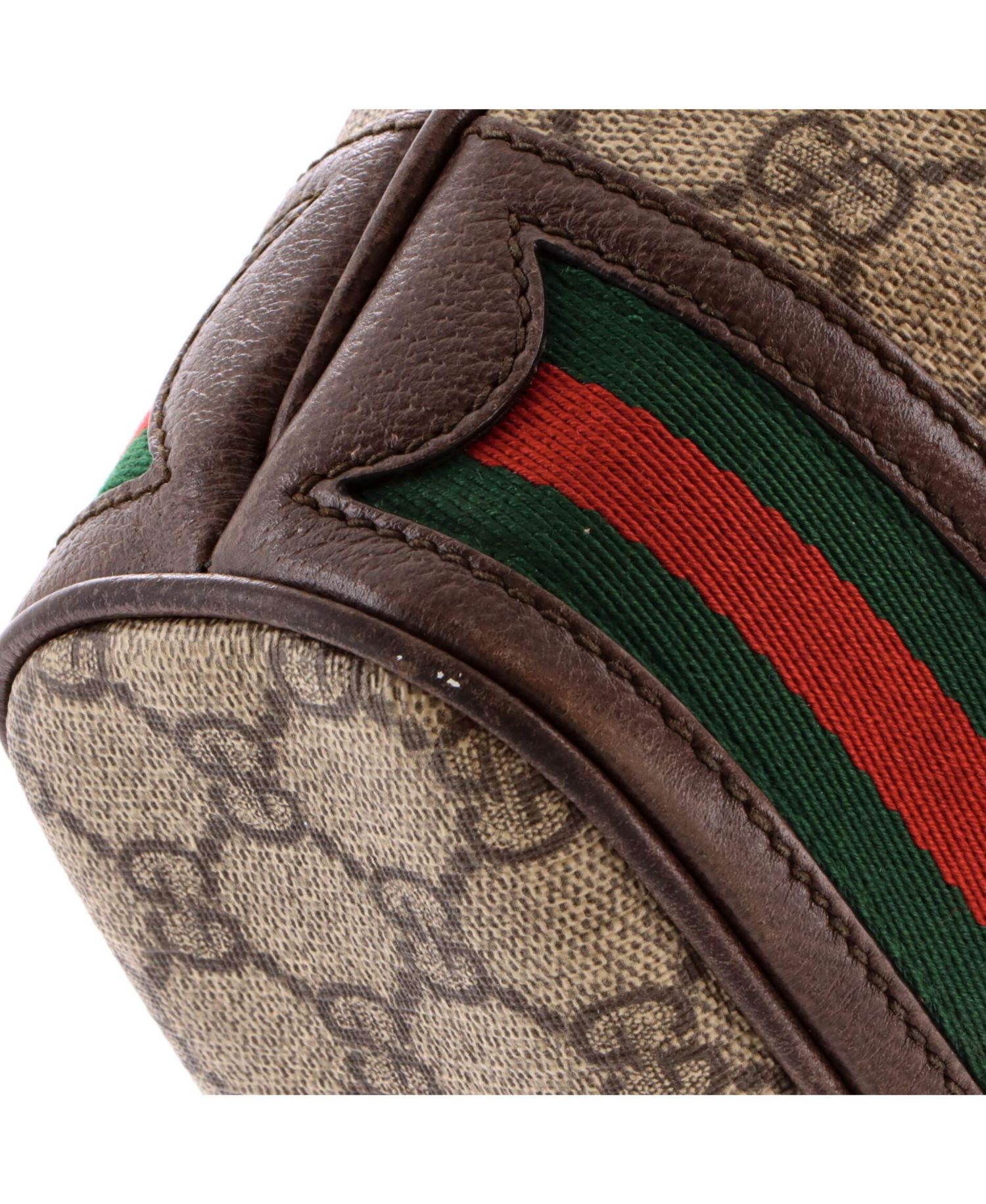 Mini Ophidia Bucket Bag GG Coated Canvas