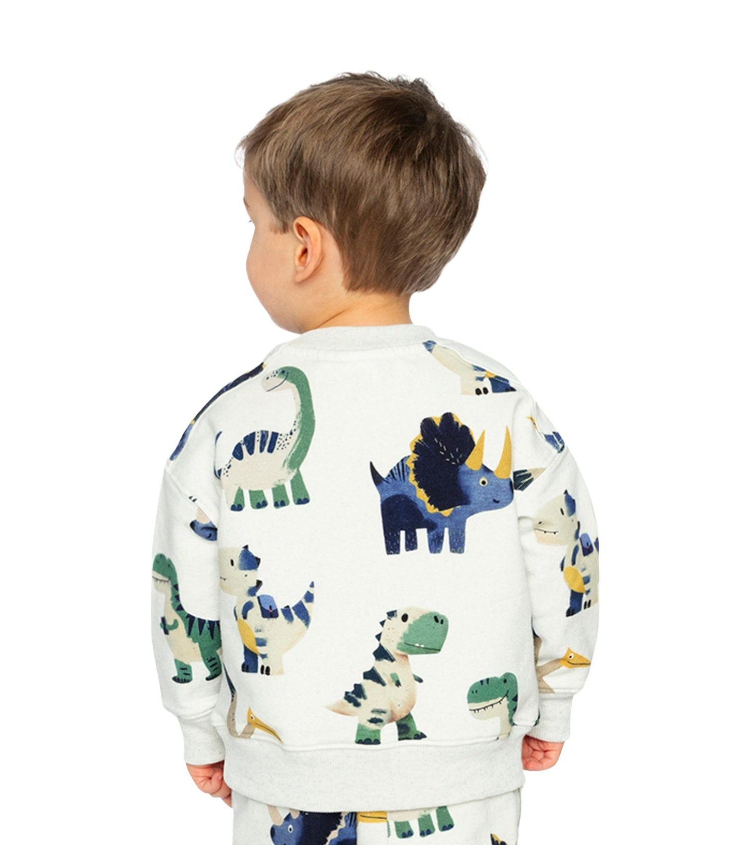 Little Boys (6-8) Fleece Sweatshirt Dinosaur Print