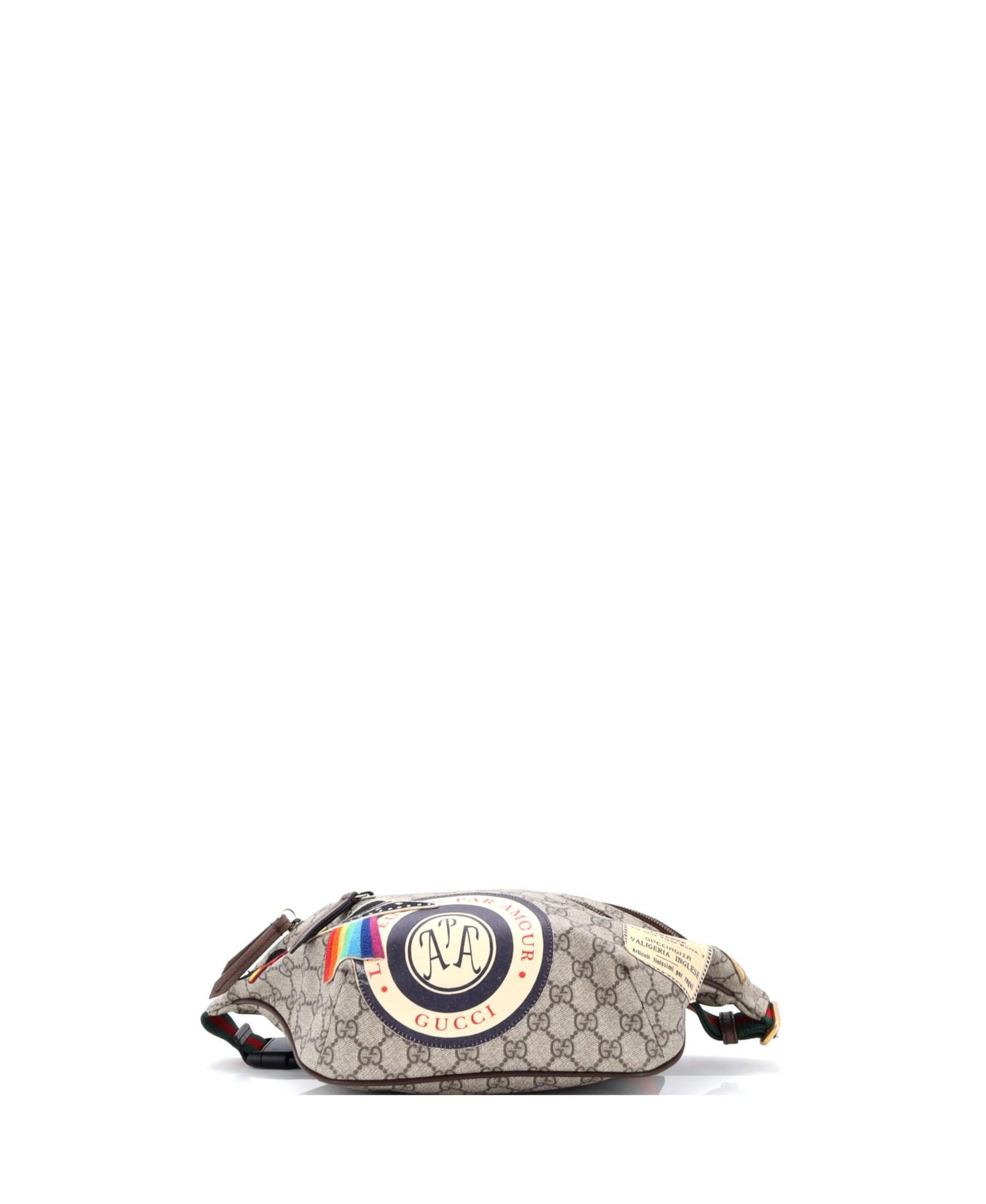 Courrier Zip Belt Bag GG Coated Canvas with Applique