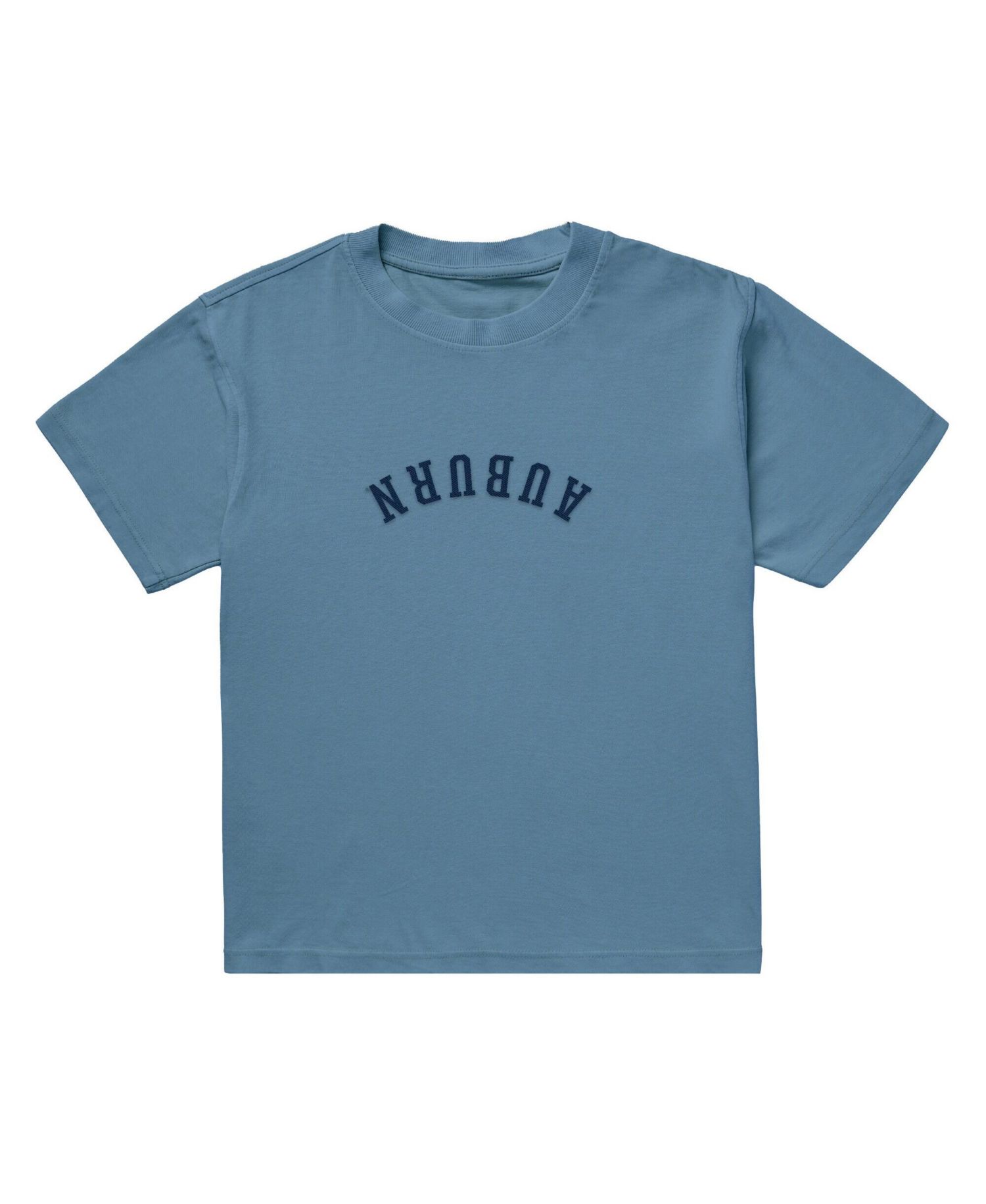 Men's Light Blue Auburn Tigers Upside Down Embroidered Vintage Heavyweight T-Shirt