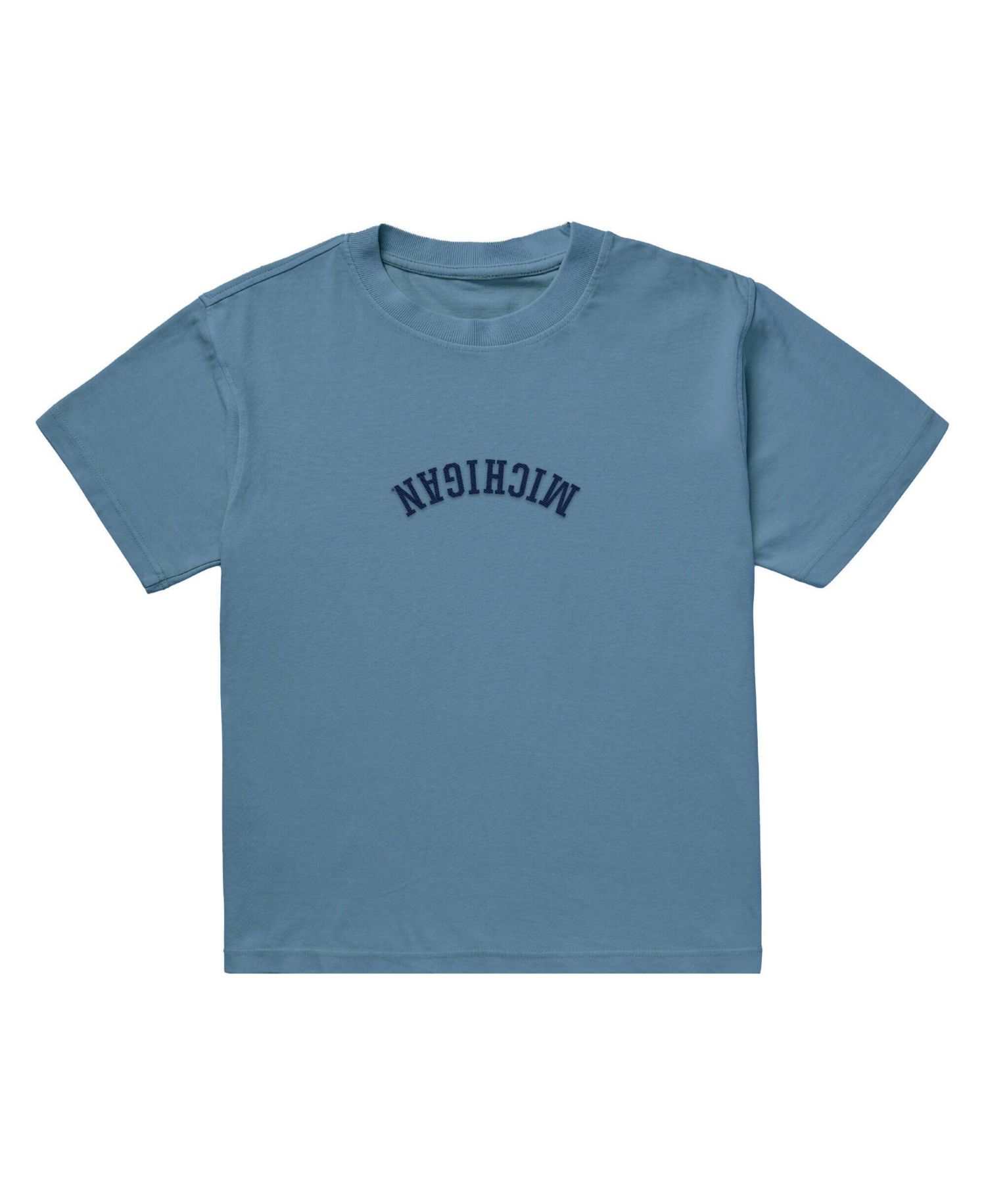 Men's Light Blue Michigan Wolverines Upside Down Embroidered Vintage Heavyweight T-Shirt