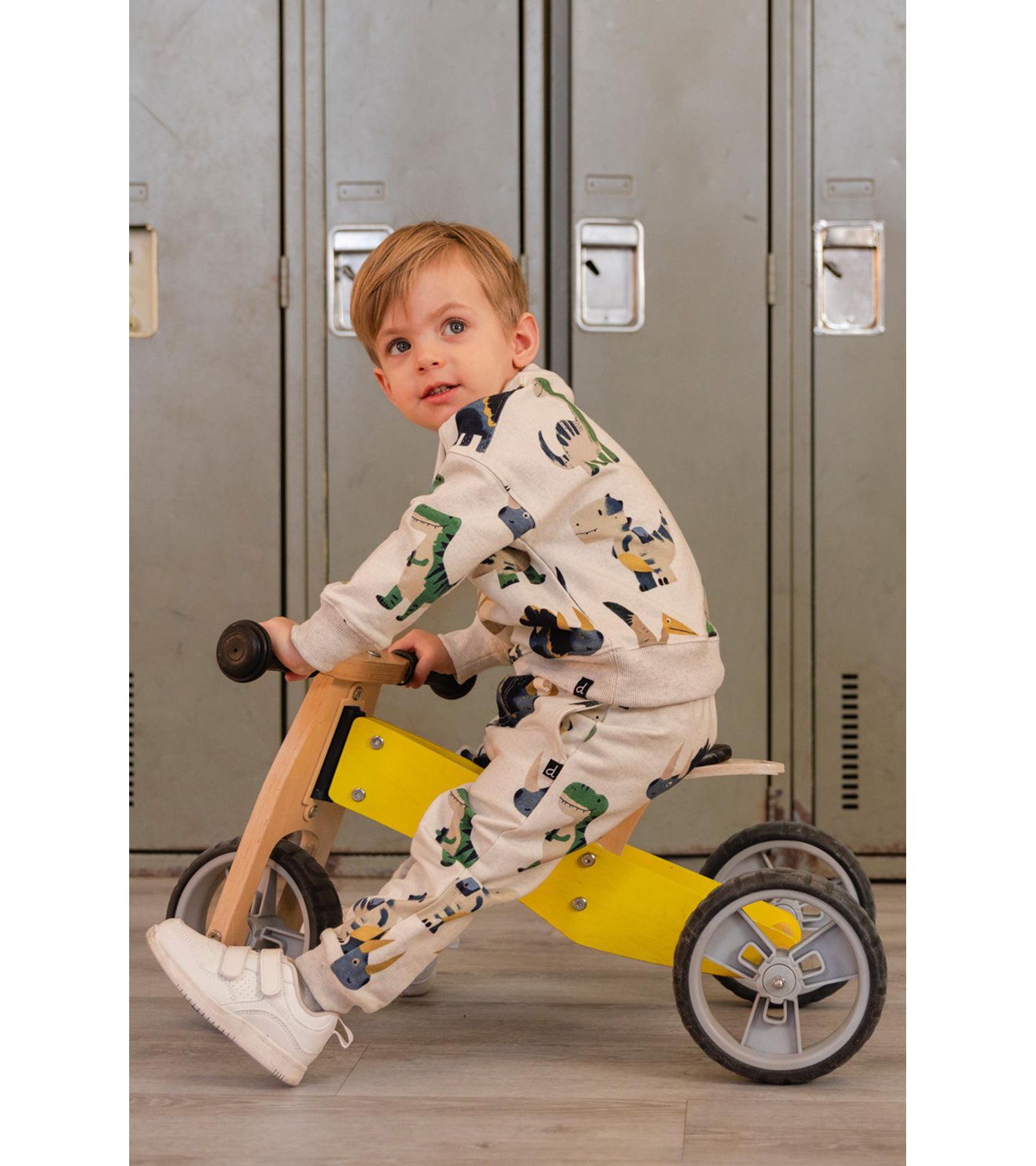 Little and Big Boy (7-6) Fleece Sweatpants Dinosaur Print