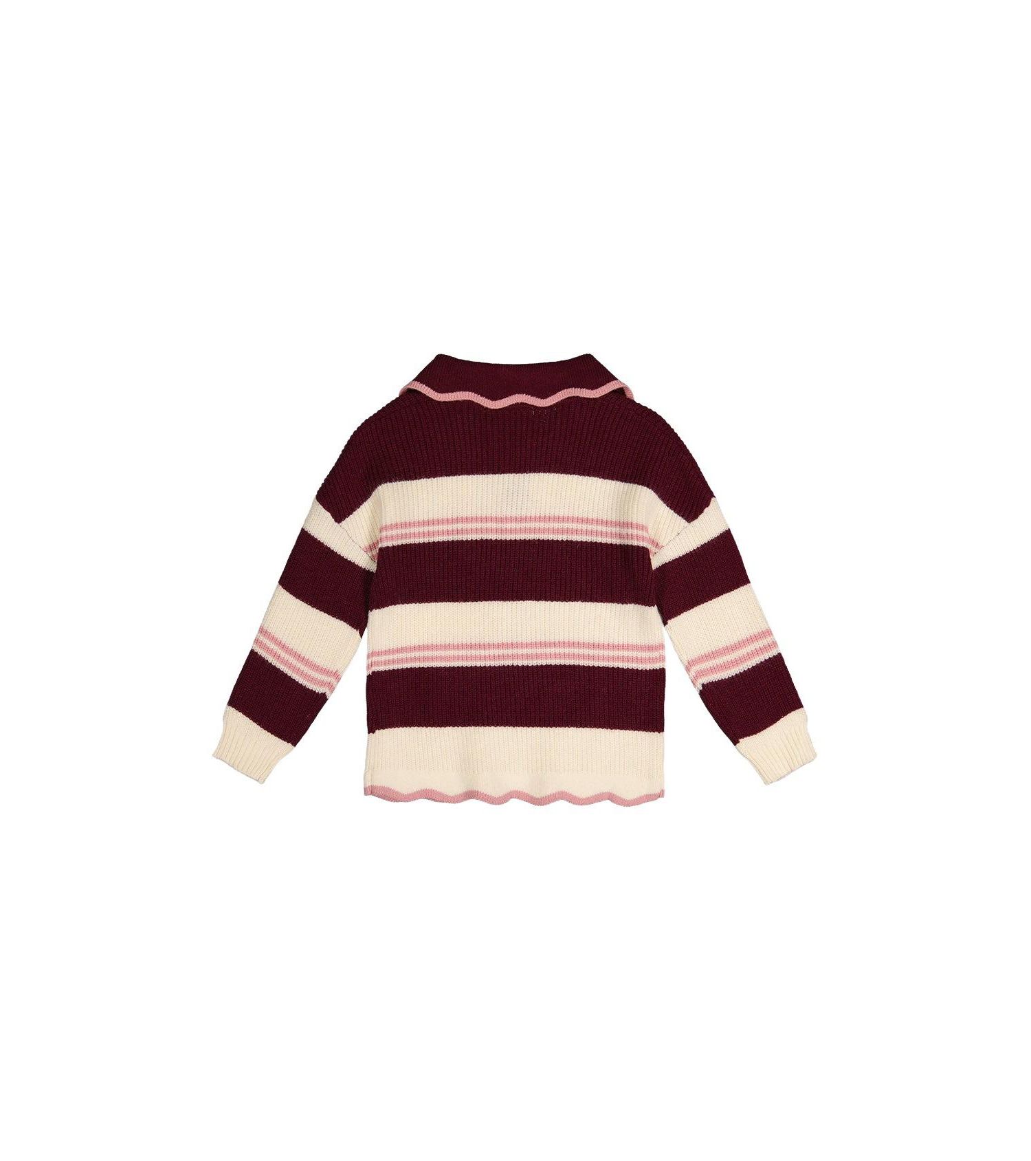 Little and Big Girl 6-14 Years Scalloped Collar Sweater
