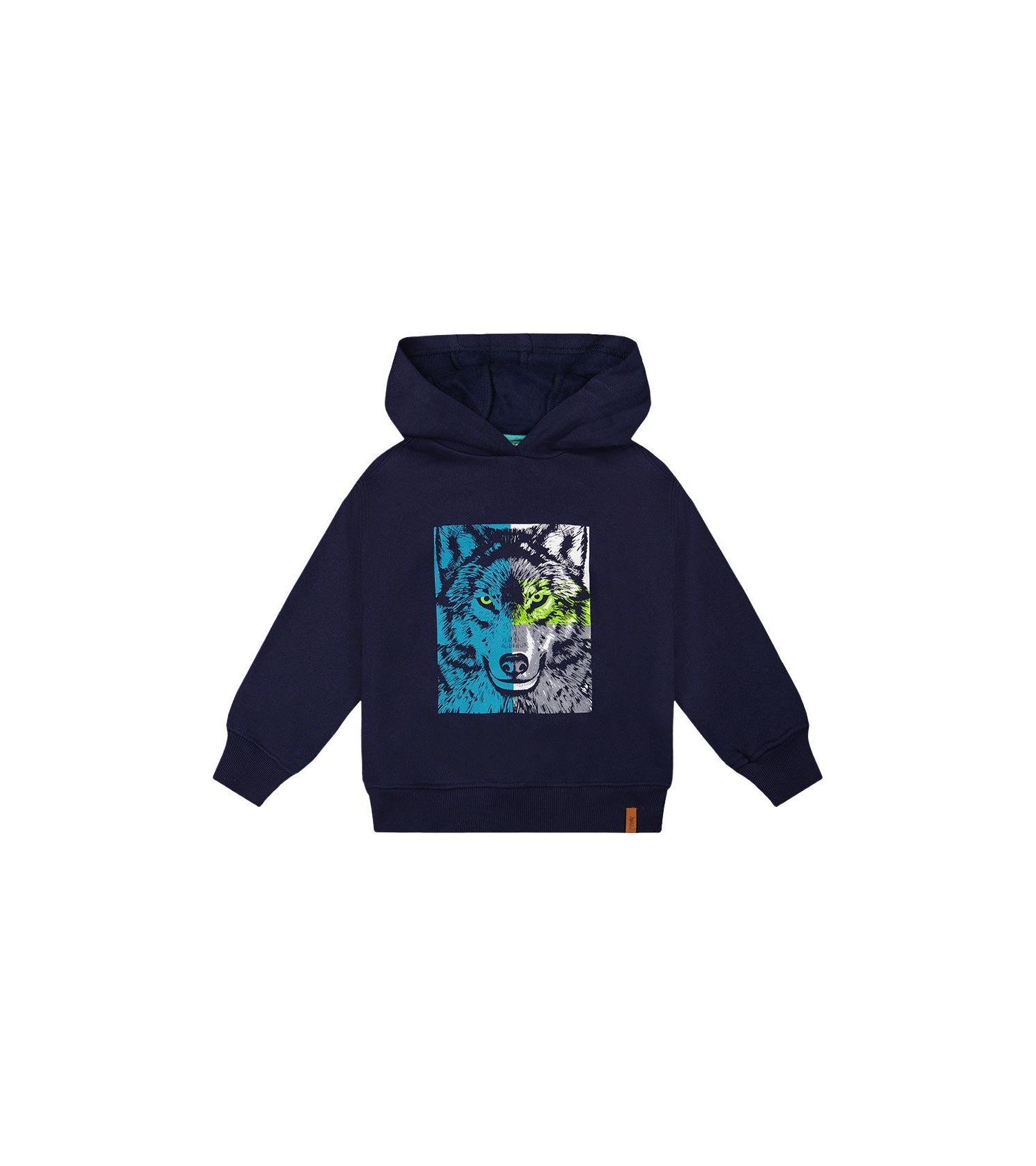 Little and Big Boy Fleece Hooded Sweatshirt