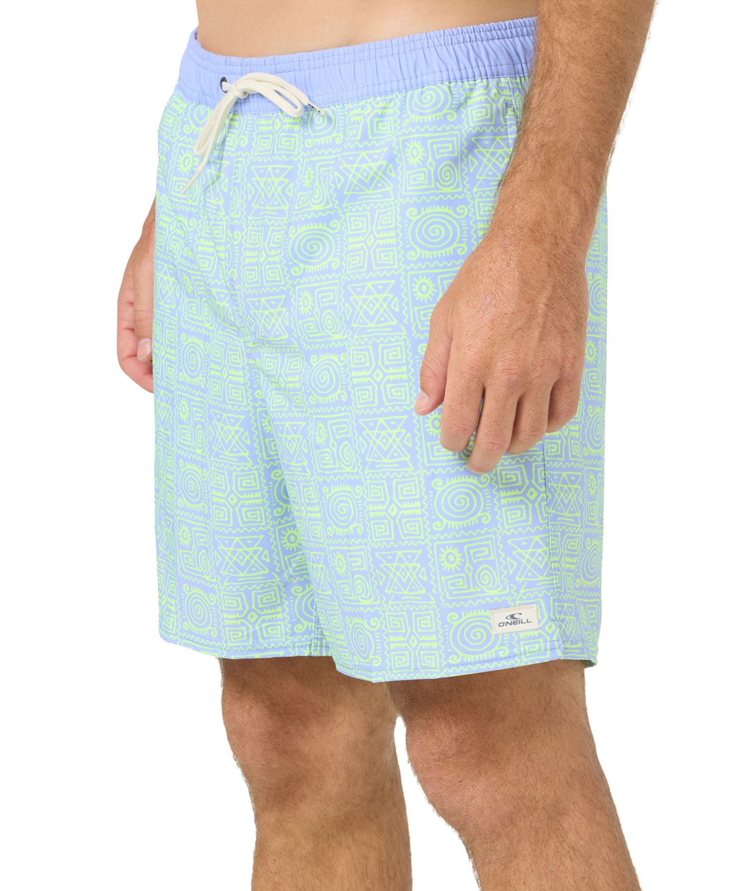 Men's Hermosa Print Swim Trunks