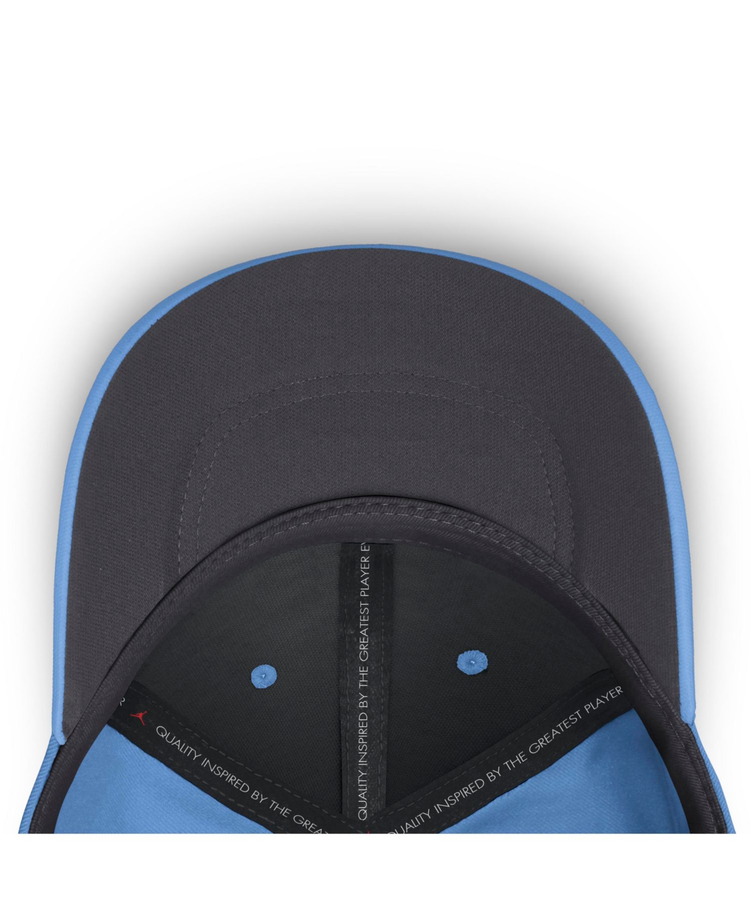Men's Carolina Blue North Carolina Tar Heels Gameday Aerobill Swooshflex Dri-FIT Hat